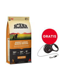 ACANA Puppy large breed dog 17 kg + FLEXI New Comfort S Cord 5 m black smycz automatyczna GRATIS