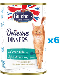 BUTCHER'S Delicious Dinners, karma dla kota, kawałki z pstrągiem w galaretce, 400g x 6