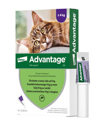 ADVANTAGE Roztwór do nakrapiania dla kotów powyżej 4 kg (4 x 0,8 ml)