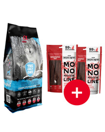 ALPHA SPIRIT Pełnoporcjowa sucha karma dla psów Wild Fish 12 kg + 2 przysmaki GRATIS