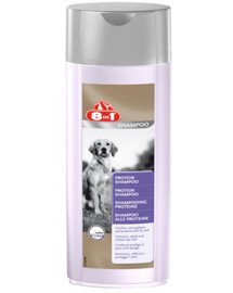 Shampoo protein 250 ml