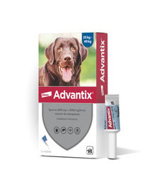 ADVANTIX Roztwór do nakrapiania dla psów od 25 do 40 kg (1 x 4 ml)