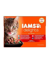 Cat Delights Adult All Breeds Ocean Fish In Jelly Pouch 12 X 85 g