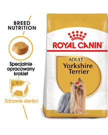 Yorkshire terrier 3 kg