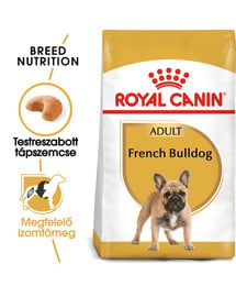 French bulldog adult 1.5 kg