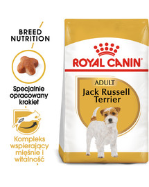 Jack russell terrier adult 1.5 kg