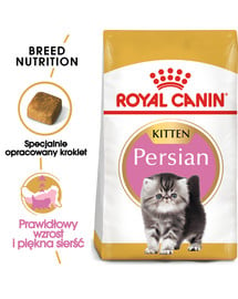 Persian Kitten 10 kg karma sucha dla kociąt do 12 miesiąca życia rasy perskiej