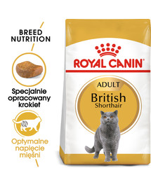 British Shorthair karma sucha dla kotów dorosłych rasy brytyjski krótkowłosy 400 g