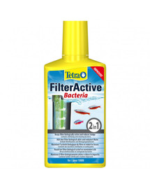 Filter Active 100 ml