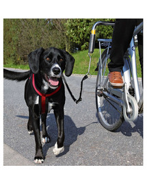 Zestaw rowerowy dla psa