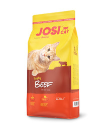 JosiCat Tasty Beef 18 kg sucha karma z wołowiną dla kotów