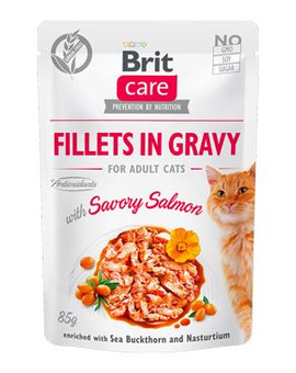 Care Cat Fillets in gravy savory salmon 85 g filety łososia w sosie