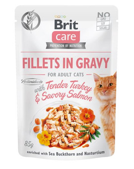 Care Fillets in gravy 24 x 85 g filety indyka i łososia w sosie