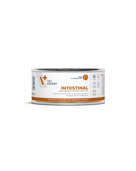 Veterinary Diet Cat Intestinal 100 g