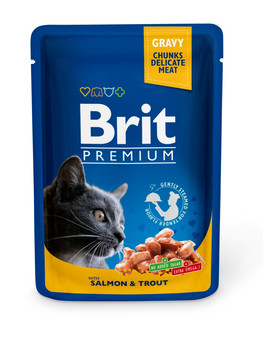 Premium Cat Adult łosoś i pstrąg saszetka dla kota 24 x 100g