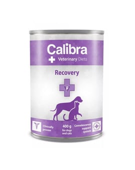 Veterinary Diet Dog&Cat Recovery 400 g