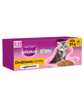 Junior Drobiowa Uczta 40x85g mokra karma z kurczakiem, kaczką, drobiem i indykiem w galaretce dla kociąt