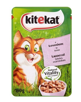 Łosoś W Sosie 100g