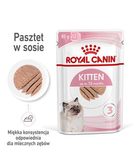 Kitten pasztet 12x85g