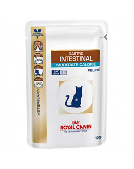 Cat Gastro Intestinal Moderate Calorie 48 x 100 g