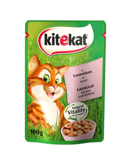 Łosoś w sosie 100 g x 24