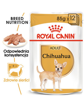 Chihuahua 85 g