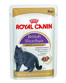 British Shorthair 85g