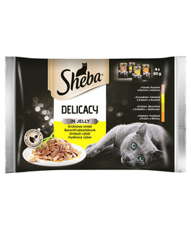 Delicacy in Jelly Smaki Drobiowe w galaretce 4x85g x13