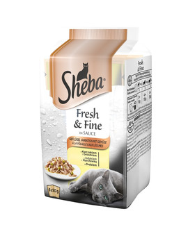 saszetka 6x50g Fresh & Fine - mokra karma dla kotów w sosie (z kurczakiem i groszkiem, z indykiem i marchewką, z drobiem)