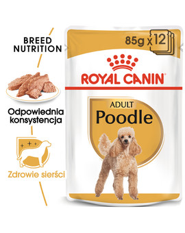 Poodle Adult in Sobe 85 g mokra karma w formie pasztetu dla dorosłych psów, rasy pudel