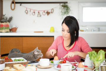 Czy kot może jeść jedzenie przygotowane w domu?
