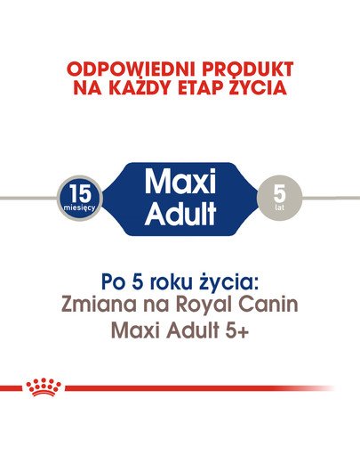 Maxi Adult tabela dawkowania