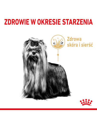 Adult 50 g karma sucha dla dojrzałych psów rasy yorkshire terrier, powyżej 8 roku życia