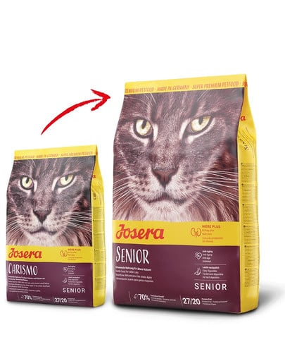 Senior 400 g karma sucha dla kotów starszych