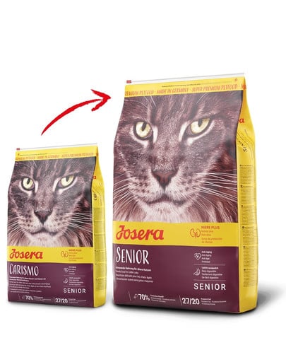 Senior 10 kg karma sucha dla kotów starszych