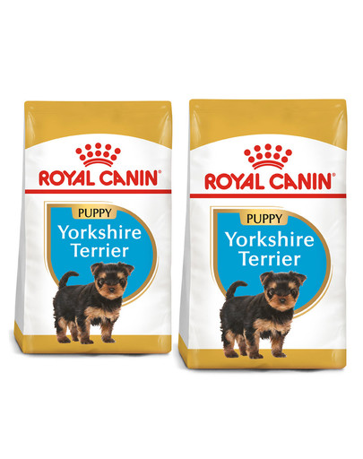 ROYAL CANIN Yorkshire terrier junior 15 (2 x 7.5 kg) sucha karma dla szczeniąt do 10 miesiąca, rasy Yorkshire terrier