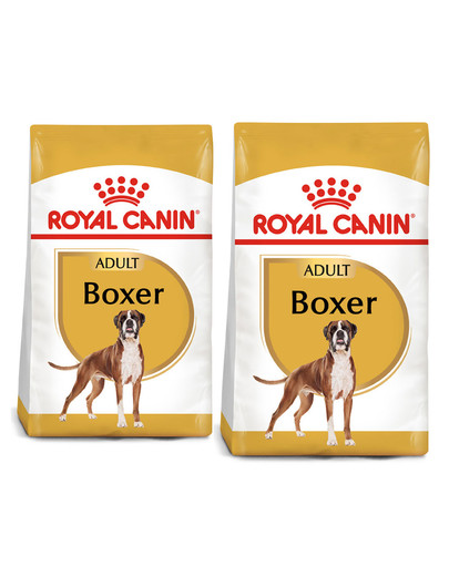 ROYAL CANIN Boxer Adult karma sucha dla psów dorosłych rasy bokser 24 kg (2 x 12 kg)