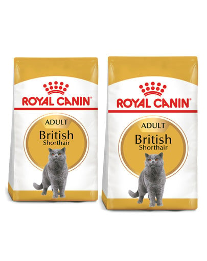 ROYAL CANIN British Shorthair karma sucha dla kotów dorosłych rasy brytyjski krótkowłosy 20 kg (2 x 10 kg)