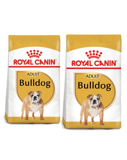 ROYAL CANIN Bulldog Adult karma sucha dla psów dorosłych rasy bulldog 24 kg (2 x 12 kg)