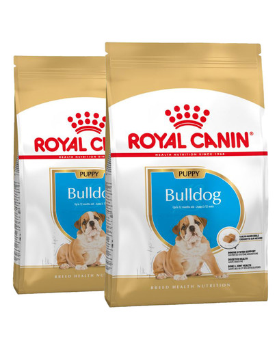 ROYAL CANIN Bulldog Puppy 24 kg (2 x 12 kg) sucha karma dla szczeniąt do 12 miesiąca, rasy buldog angielski