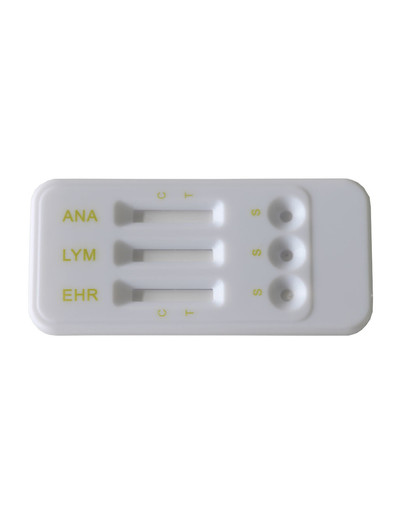Test diagnostyczny Anaplasma/Lyme/Ehrlichia Combo (EHR/LYM/ANA Ab) dla psów