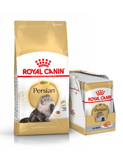 ROYAL CANIN Persian Adult 10 kg + karma mokra dla kotów rasy pers 12x85 g