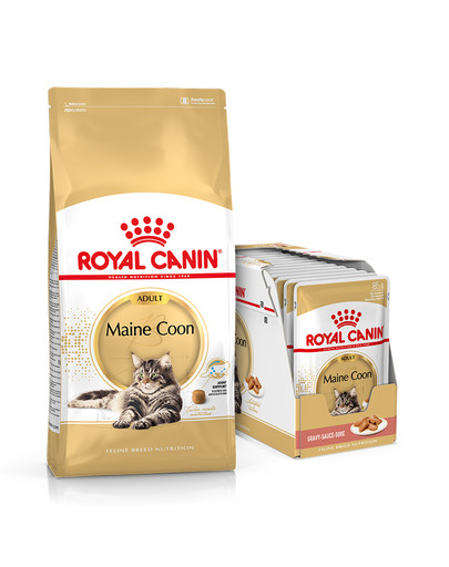 ROYAL CANIN Maine coon 12kg + mokra karma Mainecoon 12x85 g