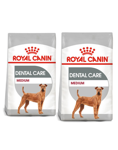 ROYAL CANIN CCN Medium Dental Care karma sucha dla psów dorosłych, ras średnich, redukująca powstawanie kamienia nazębnego 20 kg (2 x 10 kg)