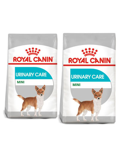 ROYAL CANIN CCN Mini Urinary Care karma sucha dla psów dorosłych, ras małych, ochrona dolnych dróg moczowych 16 kg (2 x 8 kg)