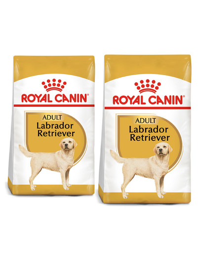 ROYAL CANIN Labrador retriever adult 24 kg (2 x 12 kg) karma sucha dla psów dorosłych rasy labrador retriever