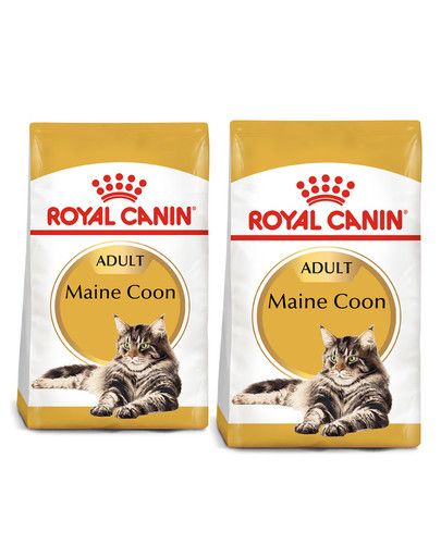ROYAL CANIN Maine Coon Adult karma sucha dla kotów dorosłych rasy maine coon 20 kg (2 x 10 kg)