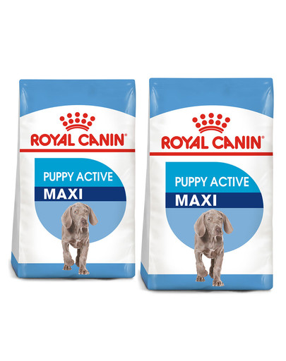 ROYAL CANIN Maxi Puppy Active 30 kg (2 x 15 kg) karma sucha dla szczeniąt ras dużych o wyższym zapotrzebowaniu energetycznym