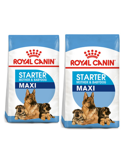 ROYAL CANIN Maxi Starter Mother&Babydog 30 kg (2 x 15 kg) karma sucha dla suk w ciąży i okresie laktacji oraz szczeniąt, od 4 do 8 tygodnia życia, ras dużych