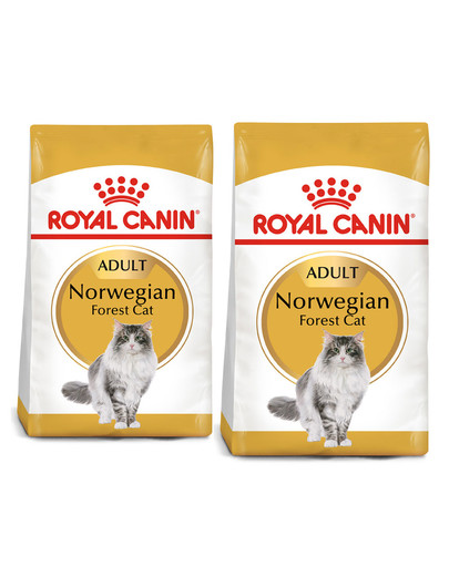 ROYAL CANIN Norvegien 20 kg (2 x 10 kg) karma sucha dla kotów dorosłych rasy norweski leśny